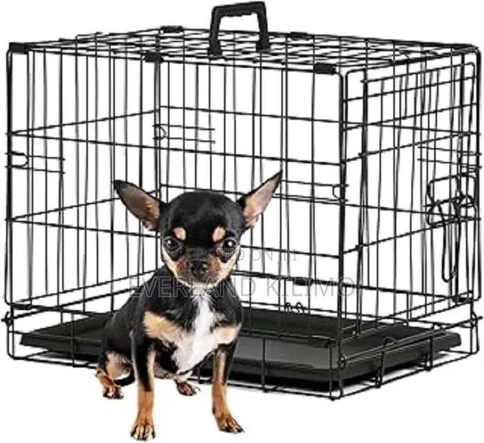 Homes For Pets Life Stages-medium