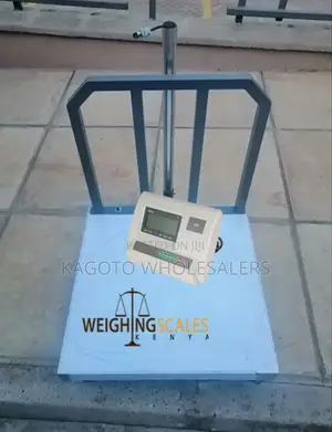 Portable 500kgs Platform Scale