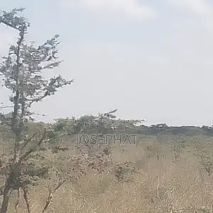 20 Acres For Sale In Kajiado Londariak