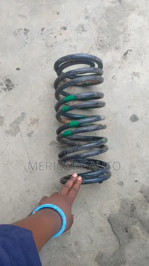 Rear Prado 150 Coil Springs