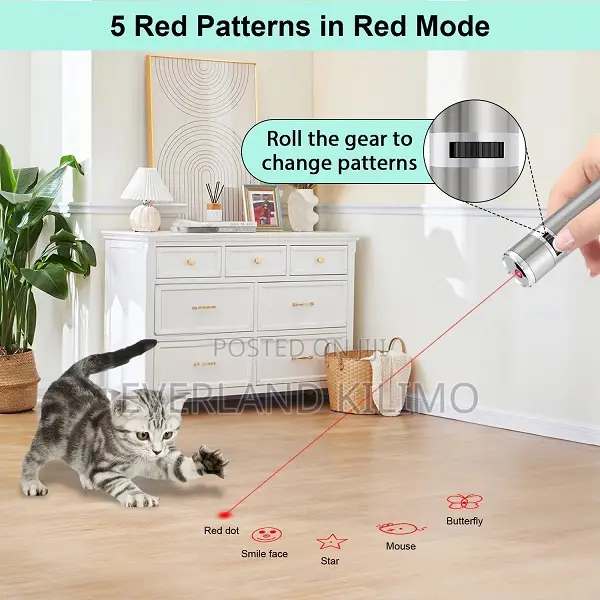 Fun Active Play Laser Toy For Cats