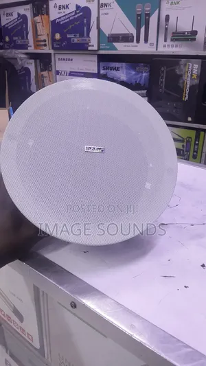 Ceiling Speaker Big 20 Watts