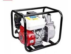 Windsor Gasoline Water Pump