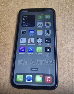 Apple iPhone 11 256 GB Gray
