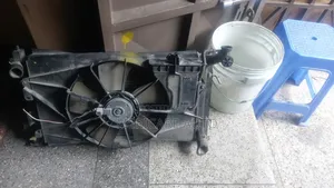 Ex Japan Nze Radiator