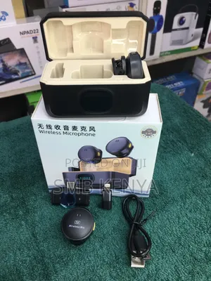 Professional Dual Wireless Microphone