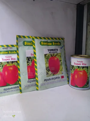 Rio Grande Tomato Seeds 10g, 25g, 50g, 100g