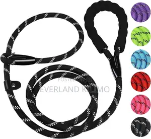 Slip Rope Dog Leash