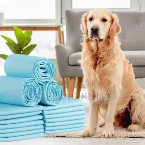 Training Pee Pads For Pets