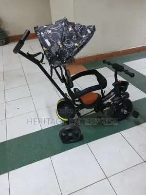 Kids Tricycle With Canopy And Push Handle