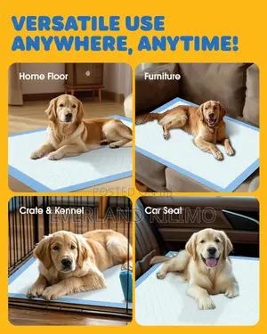 Medium Training Pads For Pets