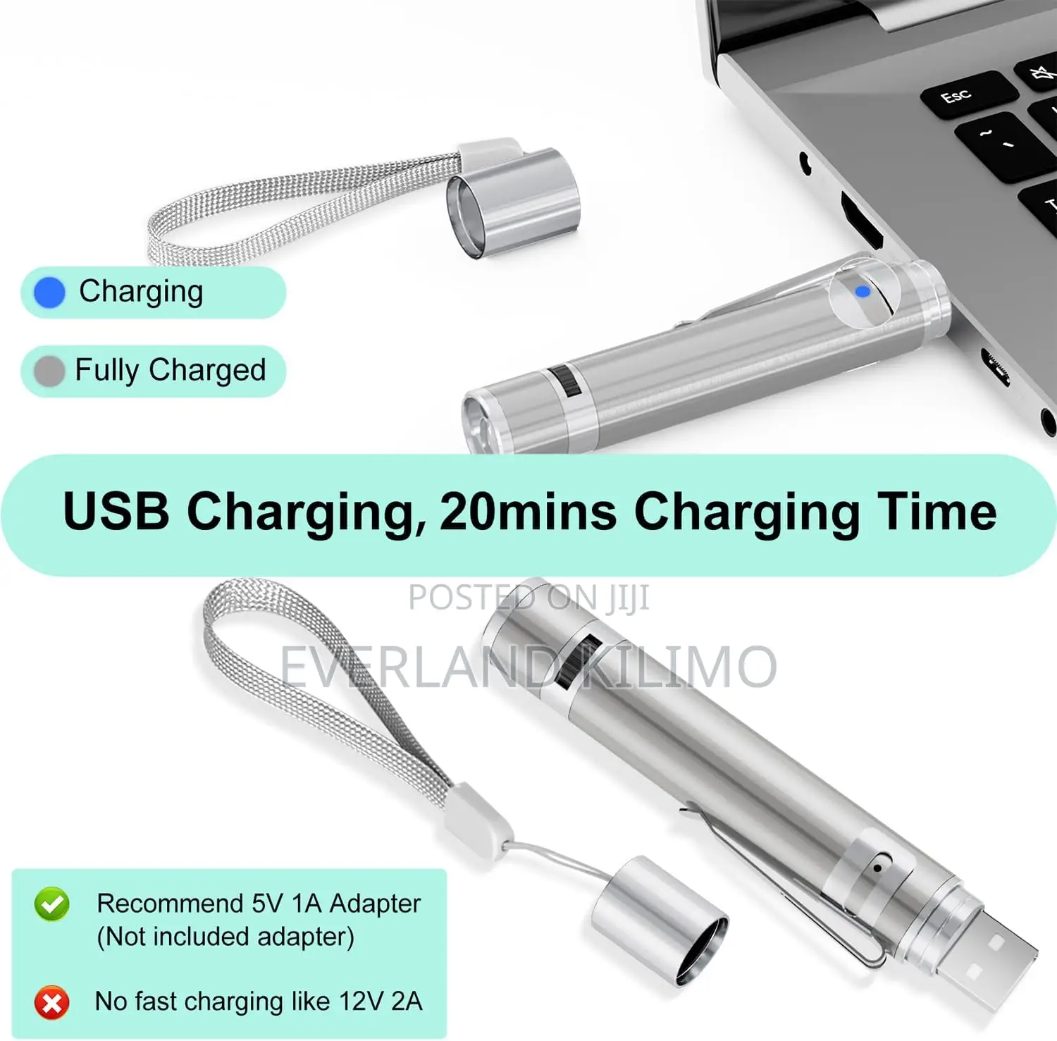 Usb Chargeable Light Mode Laser Toy For Cats