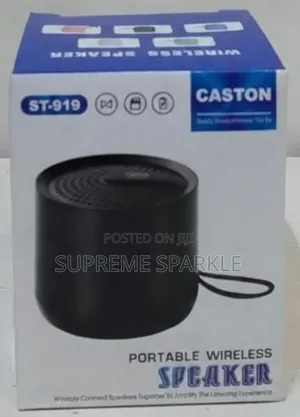 Caston St-919 Portable Wireless Speaker. Radio