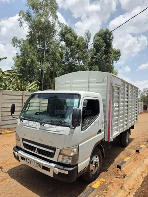 Mitsubishi Fuso Canter 2019 White