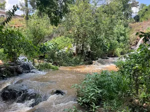 Prime 1.2 Acre Waterfront Land for Sale in Muthaiga North
