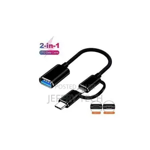 2-in-1 Otg Type-C Adapter Cable