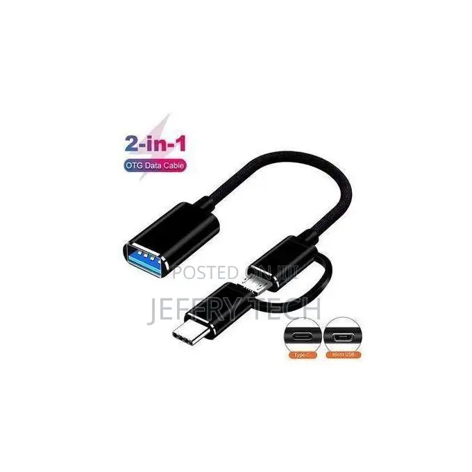2-in-1 Otg Type-C Adapter Cable