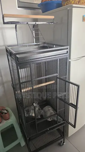 Parrot Cage