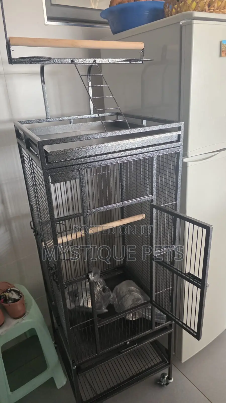 Parrot Cage