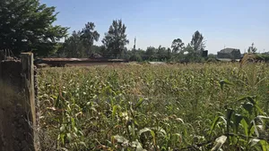Thindigua: Kiambu Rd. 3/4acre for Sale