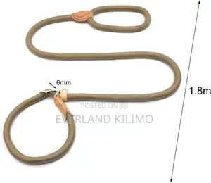 Slip Lead Dog Leash, 5.9 Ft Heavy Duty