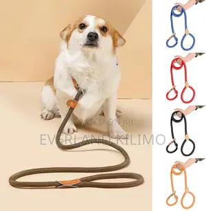 Slip Rope Dog Leash 1.8m