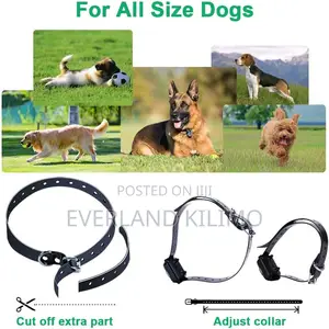 Rechargeable Electric Training Collar
