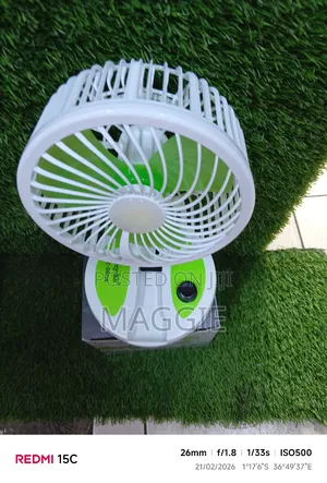 Folding Fan