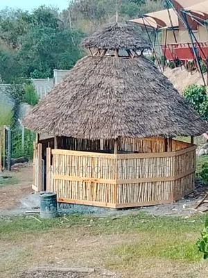Professional Makuti Dealers Kenya