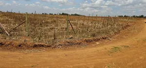 Freshly Subdivided Plots for Sale Illula Eldoret Limo