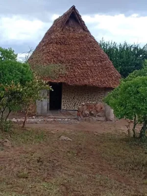 Makuti Dealers, Delivery Services and Installation.