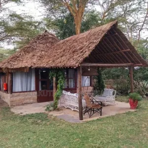 Leaking Makuti Roof Repairs Experts