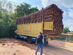 Sisal Poles Sales, Suppliers and Delivery Services Country Wide.