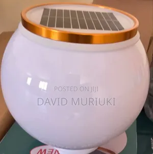 Solar Lawn Lights