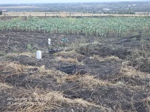 50 by 100 Plot in Kitengela Oloika for Sale Ideal for Residential