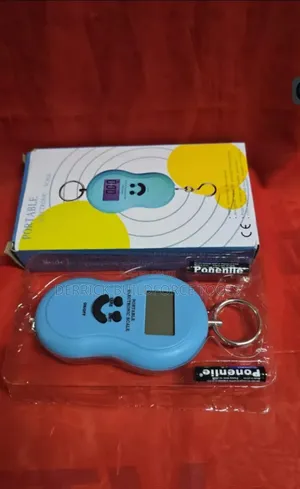 Portable Electric Scale