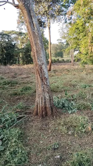 Prime Land For Sale