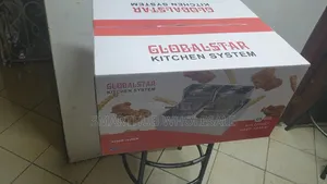 Globalstar 12l (6l+6l) Stainless Steel Double Electric Deep Fryer