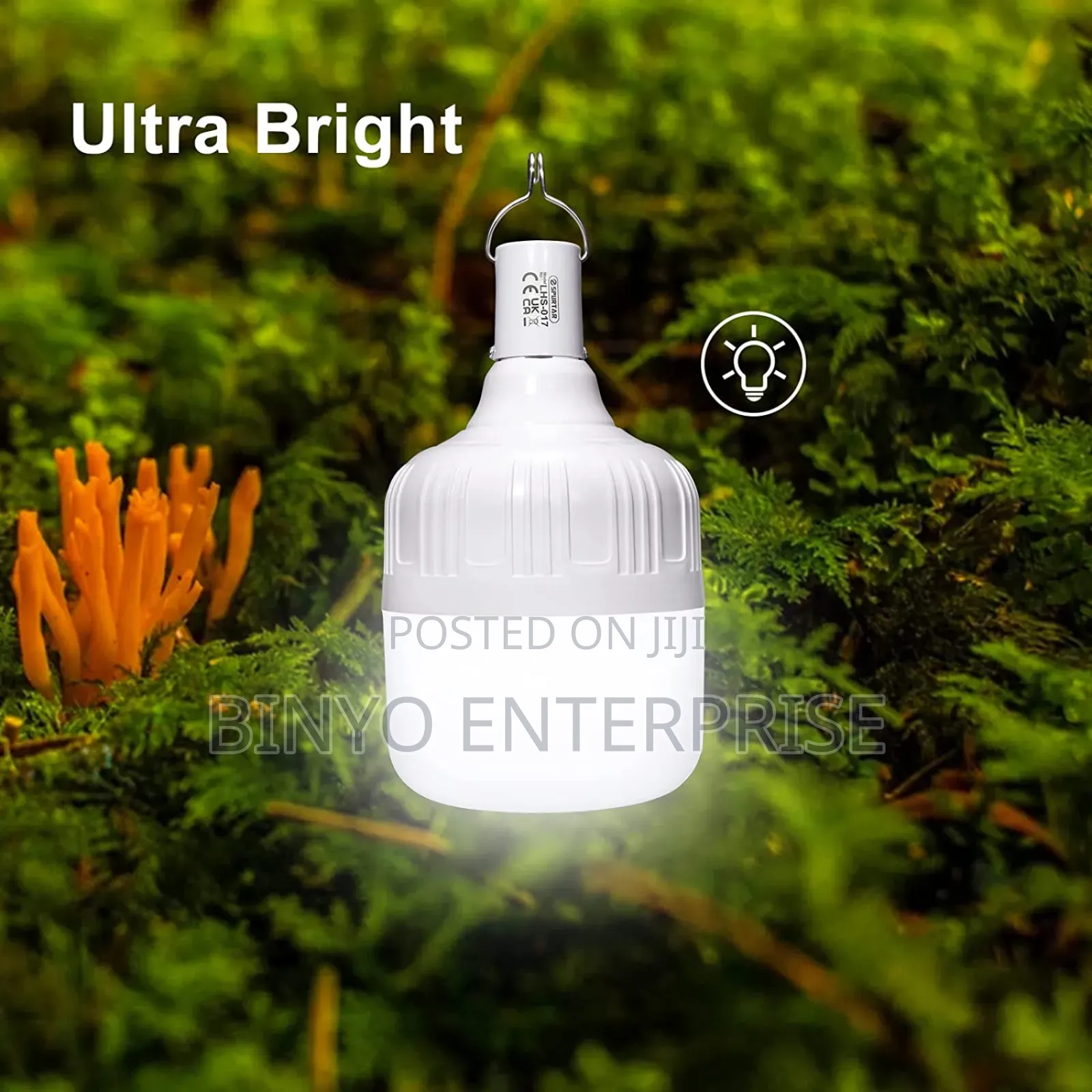 Rechargeable Bulb
