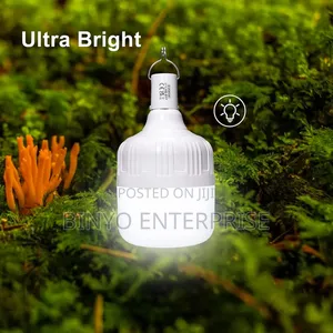 Rechargeable Bulb