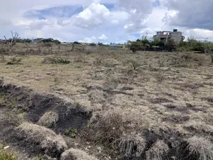 Distress Deal! Prime 1/8 Acre Plot in Kiserian