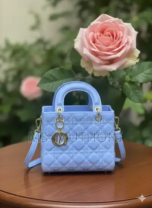 Stylish Quilted Lady Dior Mini Bags