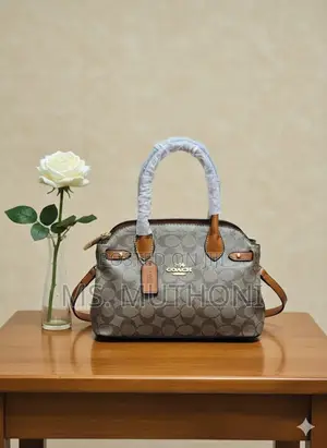 Coach Empire Carryall Dupe Handbags
