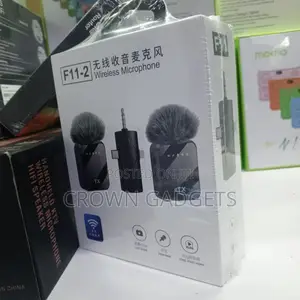 F11-2 Plug Play Wireless Microphone System