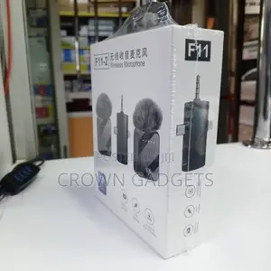 F11-2 Plug Play Wireless Microphone System