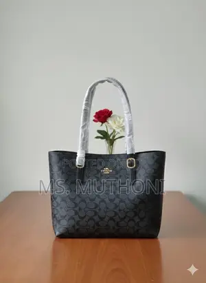 Coach Mollie Tote Dupe Bags