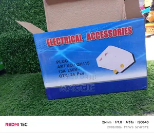 Electrical Accessories Plug