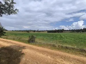 11 Acres Agricultural Land for Sale in Kisima, Timau.