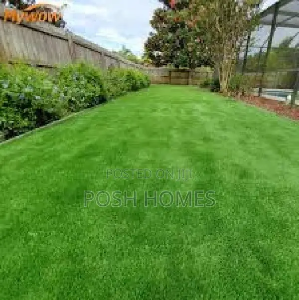 Astro Turf Grass Carpets