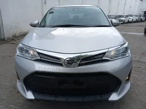 Toyota Corolla Fielder 2019 Silver